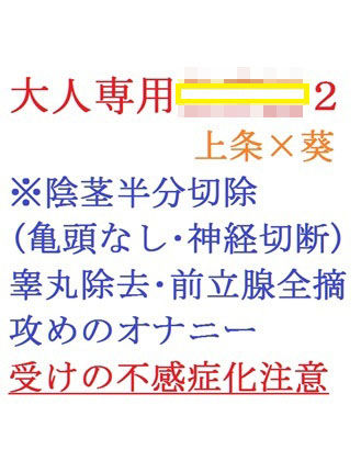 大人専用〇〇〇2d_453414