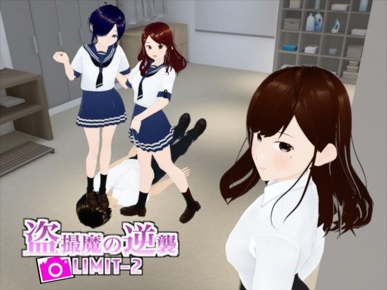盗撮魔の逆襲LIMIT-2d_455947