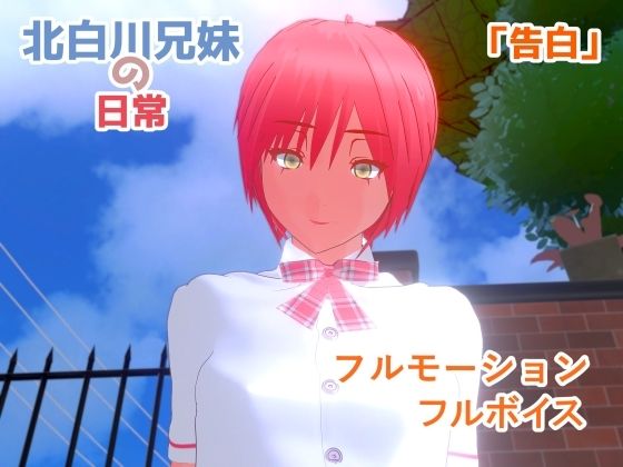 【告白】近親相姦〜実の妹と双子の兄との、終わらない精液まみれセックス〜d_482683