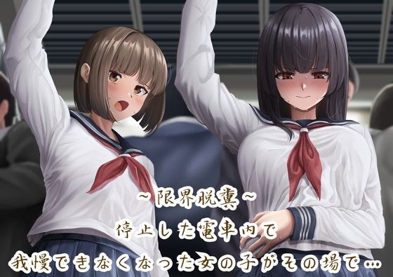【限界脱糞】停止した電車内で我慢できなくなった女の子がその場で…(バイノーラル音声)d_496861