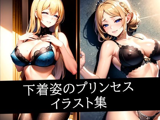 下着姿のプリンセスイラスト集d_510163