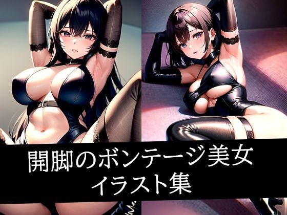 開脚のボンテージ美女イラスト集d_511034