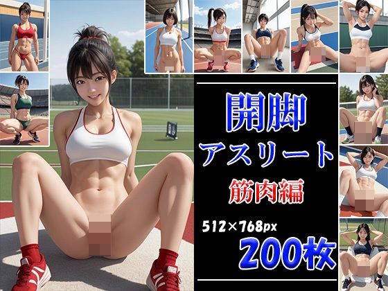 開脚アスリート 筋肉編d_531222