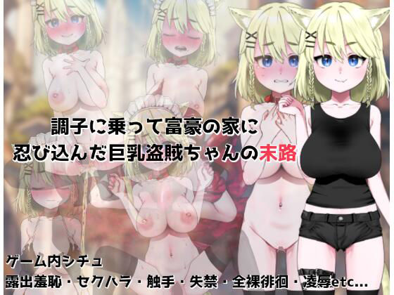 調子に乗って富豪の家に忍び込んだ巨乳盗賊ちゃんの末路d_467958