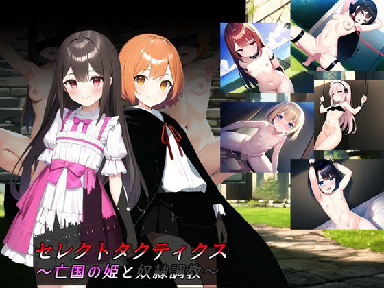 セレクトタクティクス 〜亡国の姫と奴●調教〜d_478774
