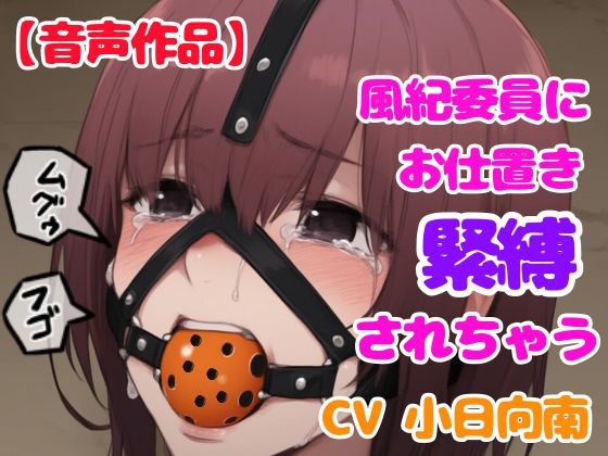 風紀委員にギチギチに縛られて猿轡をハメられちゃうd_507994