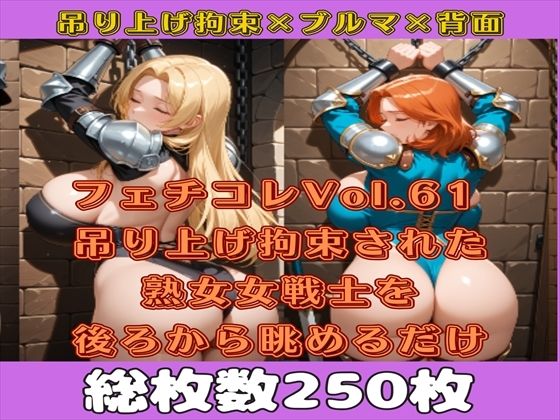 フェチコレVol.61 吊り上げ拘束された巨乳ビキニアーマー女戦士の熟女を後ろから眺めるだけ【総枚数250枚】d_564919