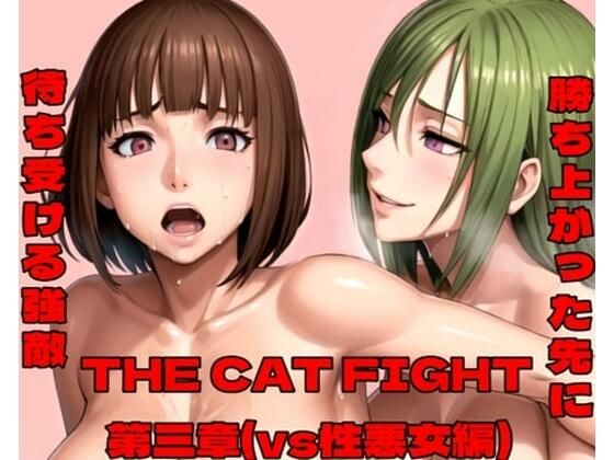THE CAT FIGHT 第三章（vs性悪女編）d_447427