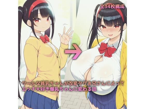 クールな貧乳ちゃんが改変タグお兄さんによってエッチ大好き爆乳ちゃんに変わる話d_551976
