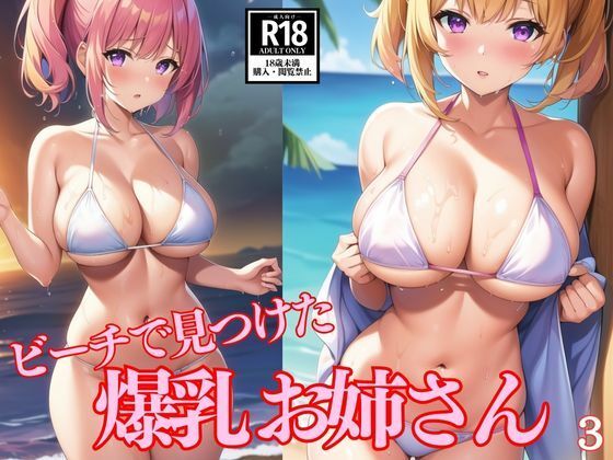 ビーチで見つけた爆乳お姉さん3d_505147