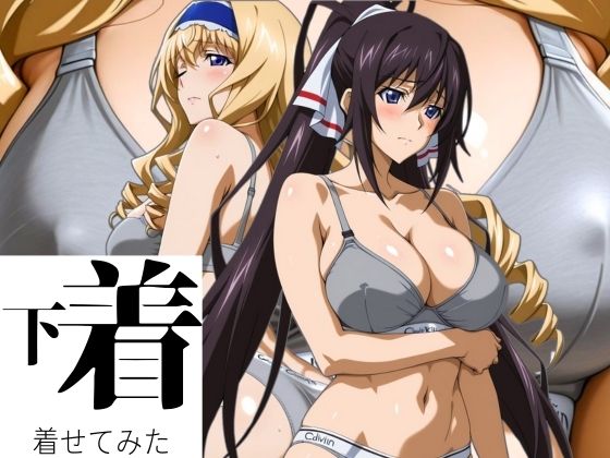 あの下着を着せてみた。 ほ〇き&セ〇リアd_595035