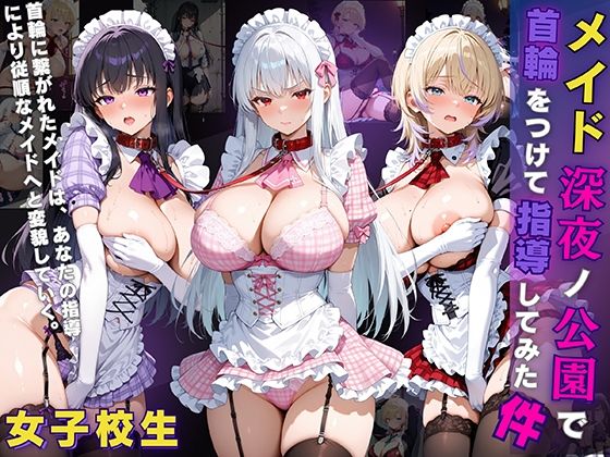 女子校生 メイド 深夜ノ公園で首輪をつけて指導してみた件d_633248