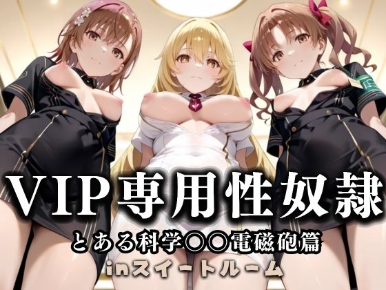 スイートルームVIP専用性処理係──快楽提供ルームサービス。  とある科学の超電磁砲編d_686595