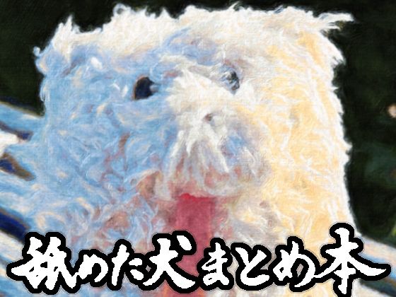 舐めた犬まとめ本d_617989