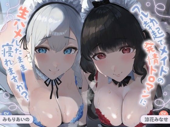 【ALL無声音】フル勃起でメイドの発情トロマンに生ハメしたまま寝れますか？【スローセックス/ずっと生ハメ】d_685671