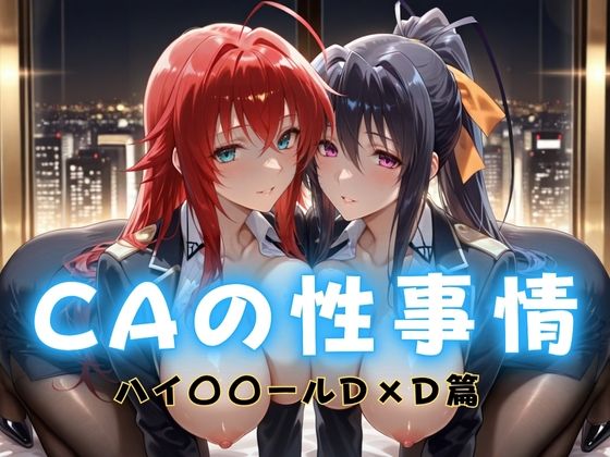 CAの性事情  ― パイロット専用の肉体奉仕  ハイ〇〇ールD×D編d_692224