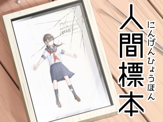 人間標本d_721755