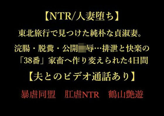 【NTR/人妻堕ち】東北旅行で見つけた純朴な貞淑妻。浣腸・脱糞・公開陵●…排泄と快楽の「38番」家畜へ作り変えられた4日間【夫とのビデオ通話あり】d_724022