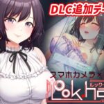 LOOK.hac -ルック・ハック-【Hシーン全開放DLC】
