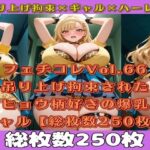 フェチコレVol.66 吊り上げ拘束されたヒョウ柄好きの金髪爆乳ギャル【総枚数250枚】