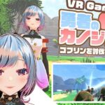 【VR専用アクションゲーム】勇者のカノジョ  ゴブリンを討伐する
