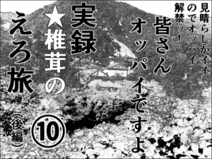 実録  ★椎茸のえろ旅  10  （後編）