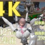 tsumayoji研究所 2025年 総集編 ［4K version］