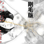 アナ友性交  剛毛版