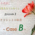 【母子遊戯】変態息子とお母さん「Episode 1」 タブレットの秘密 - Case B -