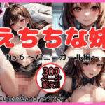 えちちな妹 No.6 バニーガール編