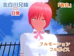 【告白】近親相姦〜実の妹と双子の兄との、終わらない精液まみれセックス〜