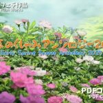 早春のくしゃみアンソロジー2025 / Early Spring Sneeze Anthology 2025