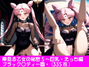 夢見る乙女の秘密5〜ブラック〇ディー・巨乳・えっち編
