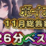 26分 2024年11月 ボイス総集編