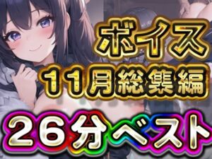 26分 2024年11月 ボイス総集編