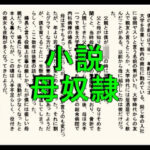 小説 母奴●