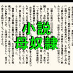 小説版  母奴●