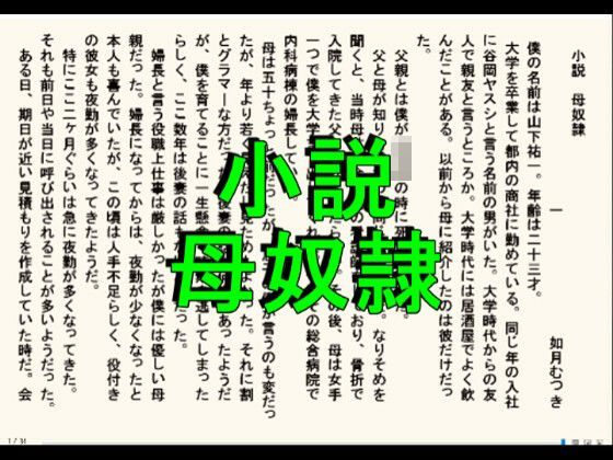 小説版  母奴●