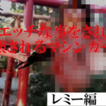 エッチな事をされ破壊されるマシンガールズ レミー編 Vol4