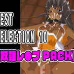 BEST SELECTION 10【奴●レ●プPACK】
