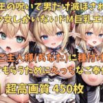 中出し転生 ドMなロリ巨乳エロフの美少女たちを孕ませまくることになった件