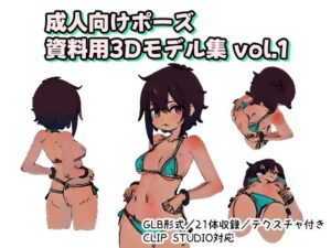 成人向けポーズ資料用3Dモデル集 vol.1