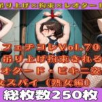 フェチコレVol.70 吊り上げ拘束されるレオタード・ビキニ姿の女スパイ（熟女編）【総枚数250枚】