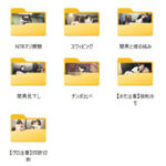 NTRイラスト集  〜夫婦編〜  計110枚