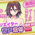 クリエイターの私が本当に欲しかった音声素材79