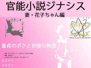官能小説:若妻・花子と僕の初夜