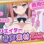 クリエイターの私が本当に欲しかった音声素材80〜フィニッシュ追加版〜