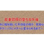 【ノベル】良妻賢母の堕ちる午後  〜息子のために股を開いた不感症の母が、見知らぬ年下男のテクニックにメスへと変えられるまで〜（FANZA版）