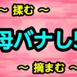 母バナし5