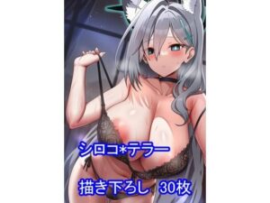 ○ルー○ーカイブ ○ロコ*○ラー ver2